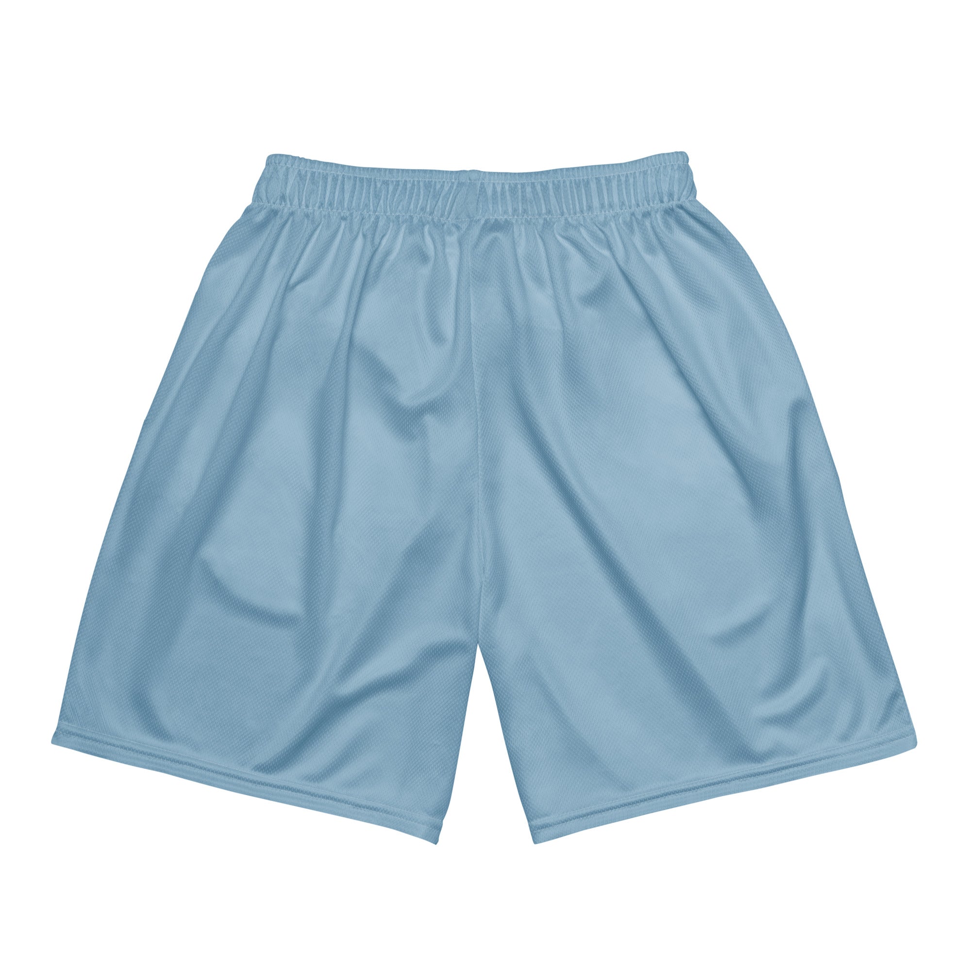 Roll Gear Centerville Wrestling Mesh Training Shorts - Light Blue, back view.