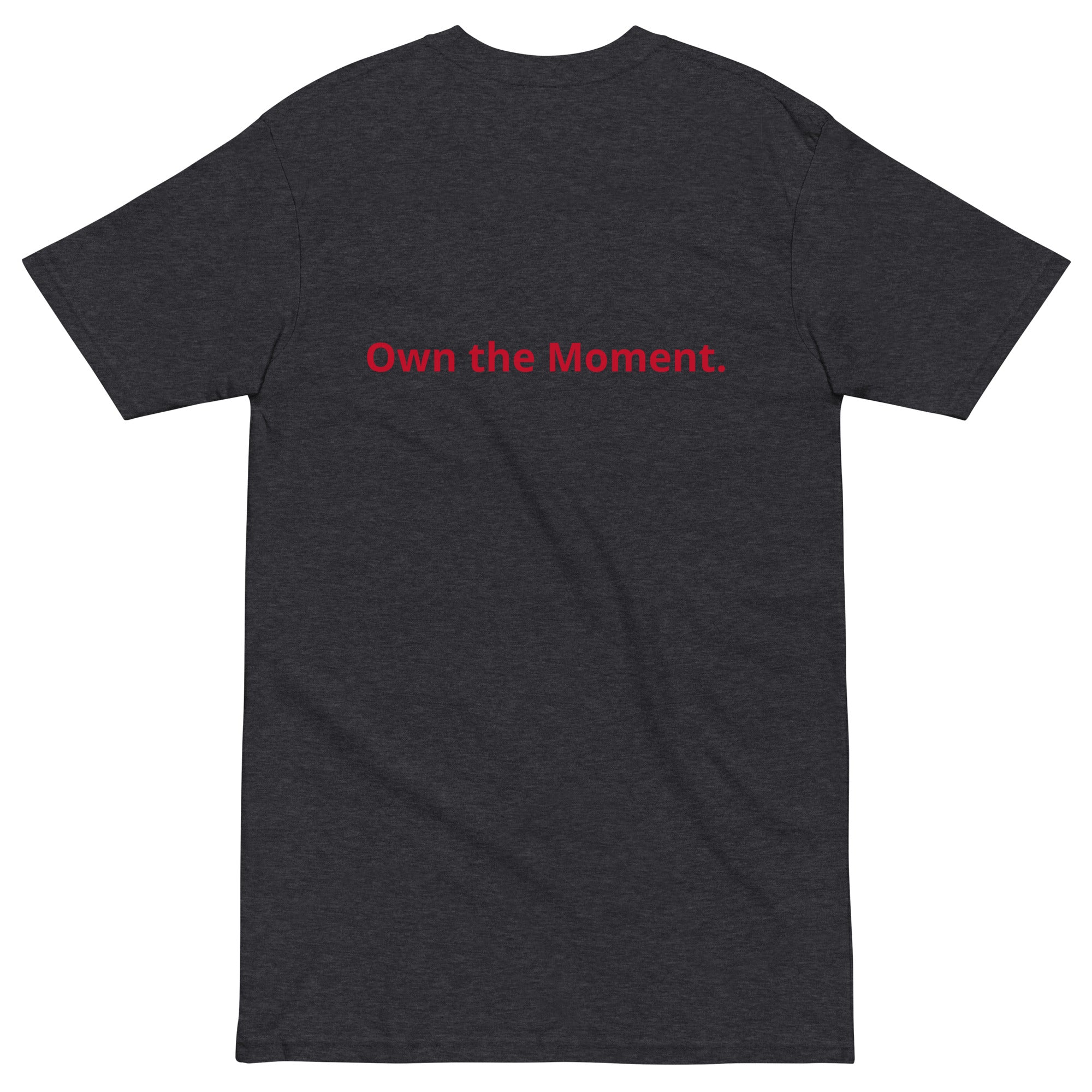 Roll Gear T-Shirt – Own the Mat, Charcoal Heather, back view.