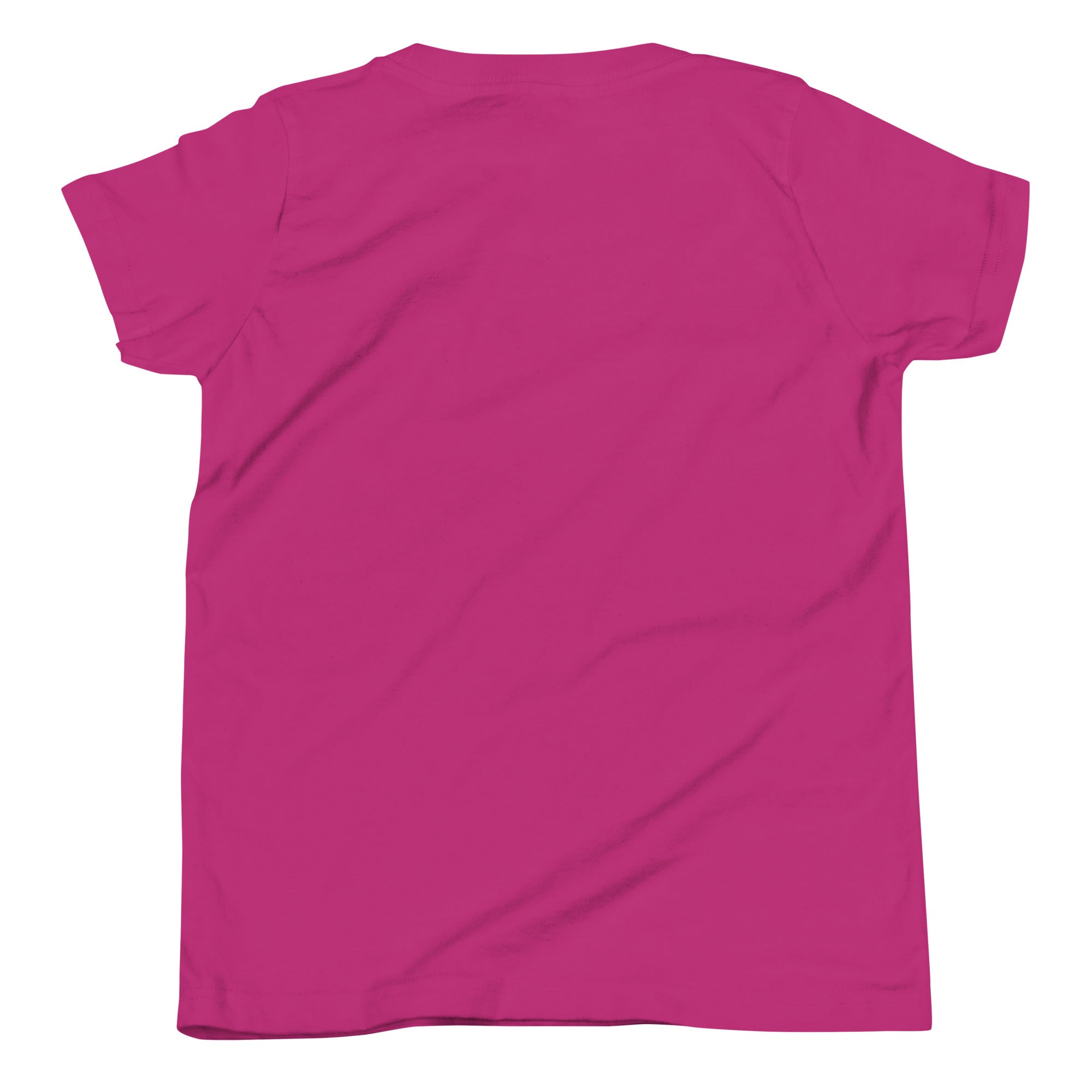 Brandon Chargers Triple Logo Youth Tee by Roll Gear, Berry, back view.