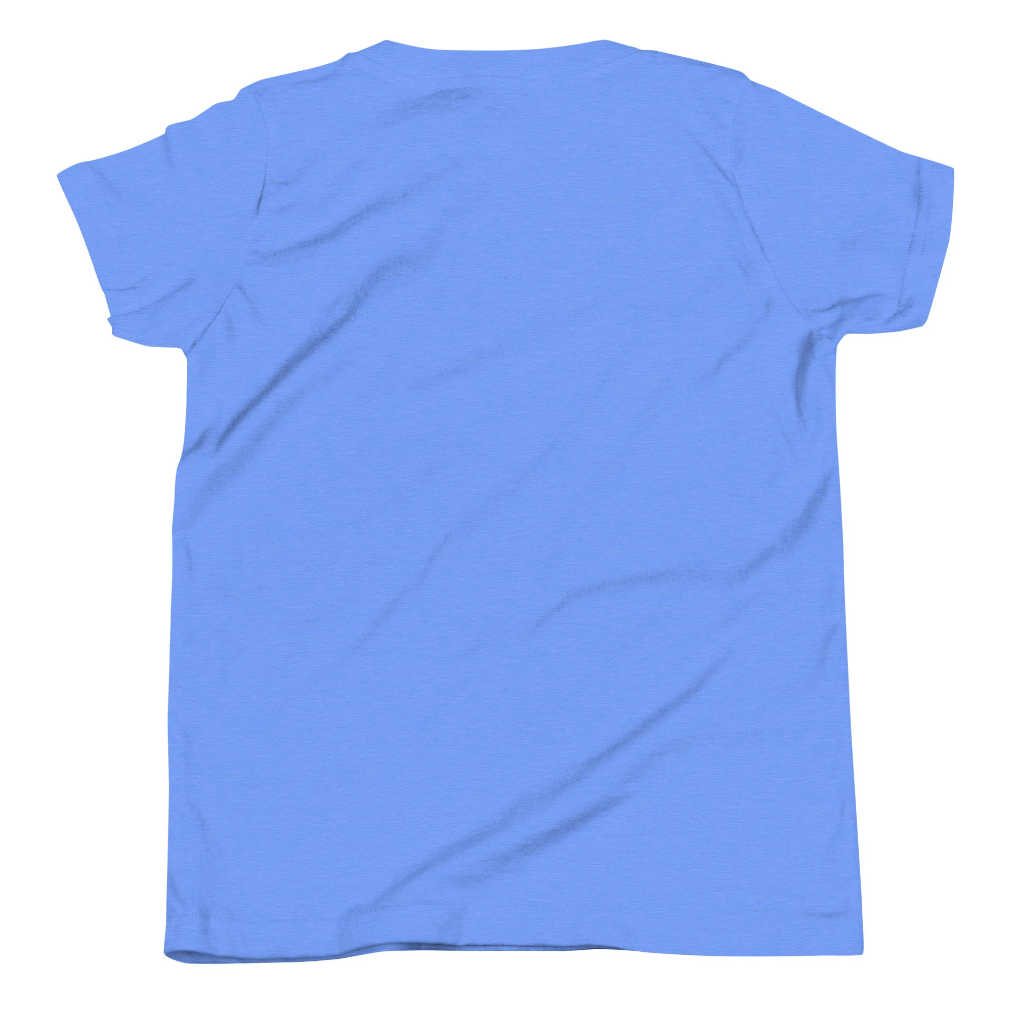 Brandon Chargers Triple Logo Youth Tee by Roll Gear, Heather Columbia Blue, back view.